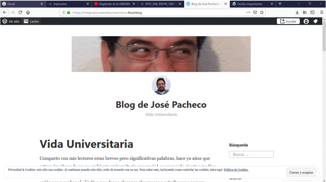 Actividad 3 Contenido en mi blog